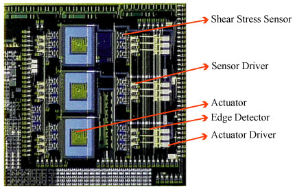 Shear Stress Sensor